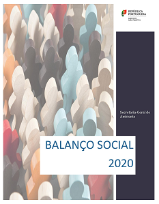 Balanço Social 2020 IMG